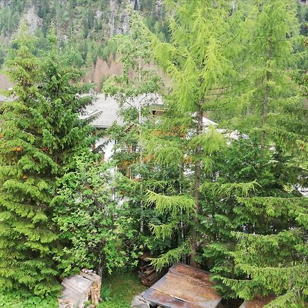 Cesa Pier Sellaronda Dolomiti Apartment Campitello di Fassa Luaran gambar