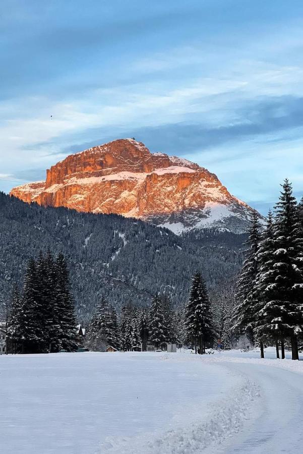 Cesa Pier Sellaronda Dolomiti Apartment Campitello di Fassa Luaran gambar